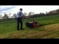 PSD AS-Motor AS 530 4T MK cutting and collecting VERY wet, long, thick grass