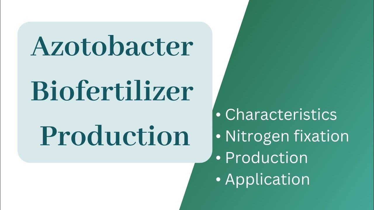 Azotobacter biofertilizer productionAzotobacter Nitrogen fixationApplication of Azotobacter