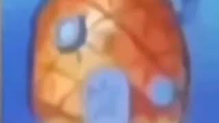 Spongebob Feat. Xtentacion