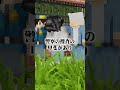 【意味がわかると怖い話】今日は何日?【マイクラ】【2chホラー】