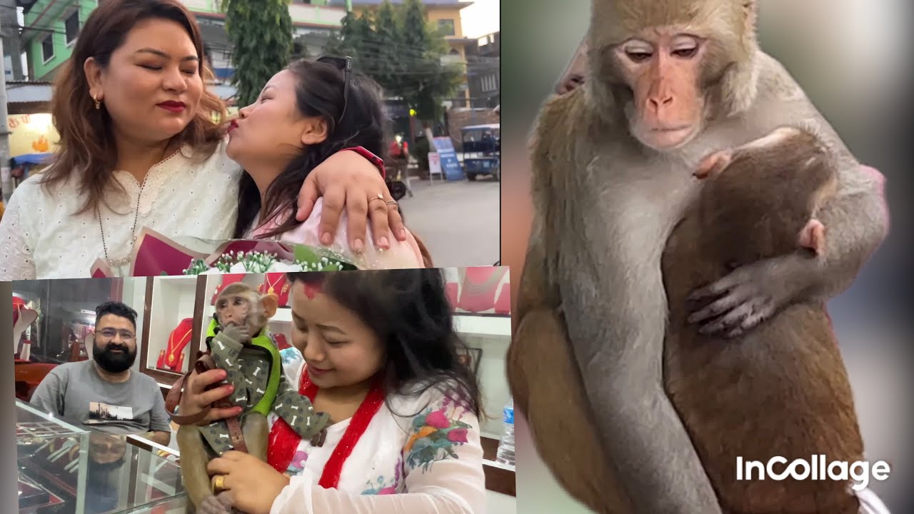 Dherai paxi Jogu ko kaka aaunu vayex🐒😭 purwanchal cafe family saga Aaja fulpaati manaudai 🍛🍛🍛