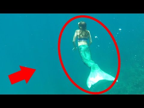 Mermaids + Mysterious Creatures Caught on Tape