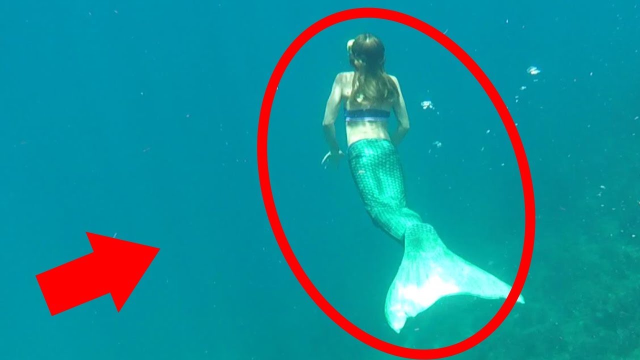 mermaids a legendary aquatic creatures Mythical water creatures a mermaid is a legendary aquatic creature with the upper body of a female human and the tail of a fish. mermaids a legendary aquatic creatures Mythical water creatures a mermaid is a legendary aquatic creature with the upper body of a female human and the tail of a fish.