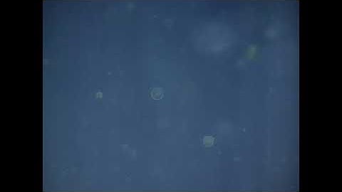 White noise 16bits 44k1ss Test tone MP4 AAC 44k1ss 1411kbps setting