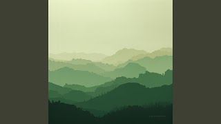 Subtle Distance Flow