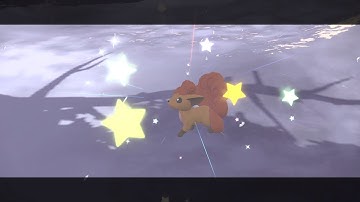 Shiny Vulpix Encounter