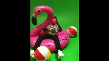 MDMA - Cheesecake (Snippet Video #3)