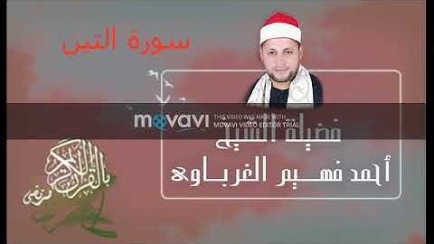 سورة التين لفضيلة الشيخ أحمد فهيم الغرباوي