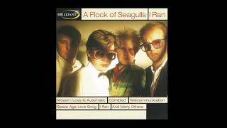 A Flock of  Seagulls live