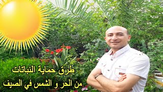 حماية النباتات من اشعة الشمس, رعاية النباتات في الصيف, Look after Plants in Summer