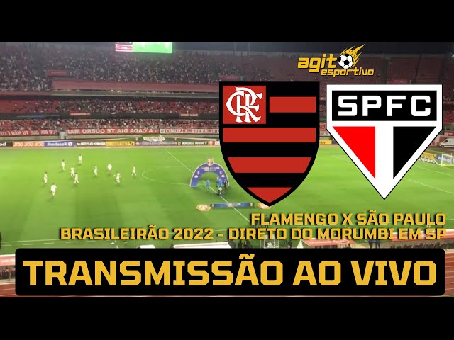 Onde vai passar o jogo do Flamengo hoje: como assistir ao vivo