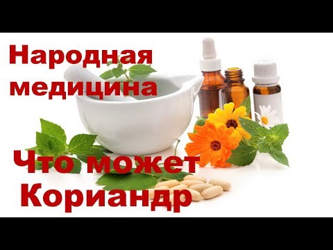 Что может Кориандр зерна Кинзы