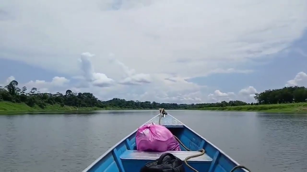 CONHEÇA A COMUNIDADE DA LIBERDADE NO AMAZONAS!