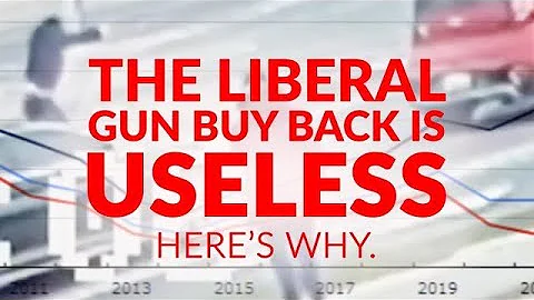 Conservative Dane Lloyd: The Liberal 'gun buy back...