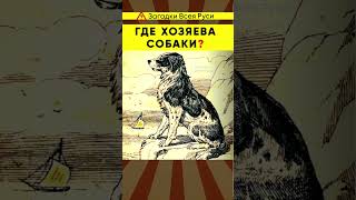 Не Всем Дано Найти Хозяев Пса. А Вам Удалось? #Shorts