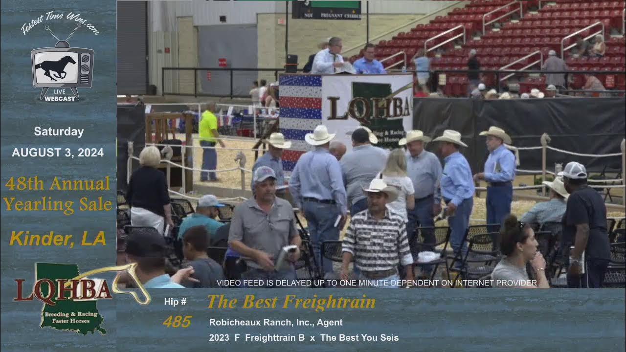 LQHBA 2024 Yearling Sale Day 2 YouTube
