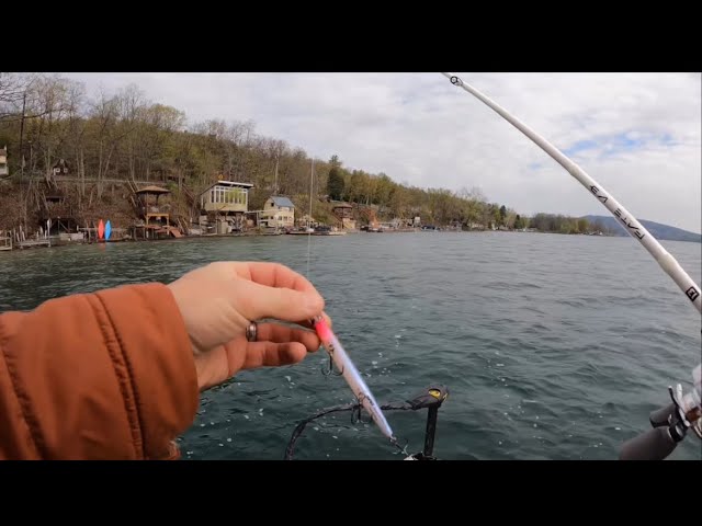 Keuka lake -NY Largemouth Bass pre spawn on Rapala jerkbait. 