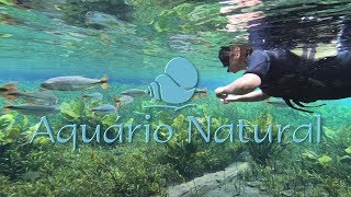 AQUÁRIO NATURAL, Flutuação em BONITO-MS