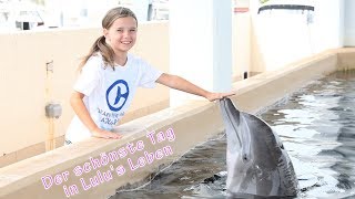 Delfintraining in Florida - Der schönste Tag in Lulu's Leben | Daddy Tommy mit Lulu und Leon