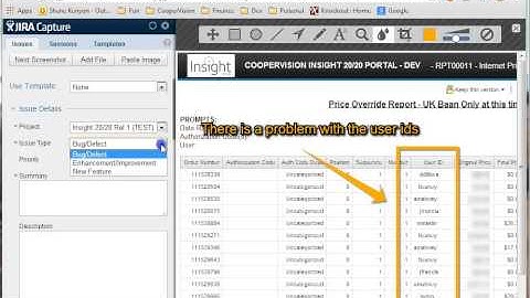 JIRA Capture Instructional Demo
