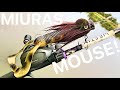 THIS LURE IS INSANE! Pike fishing with the Strikepro Miuras Mouse!