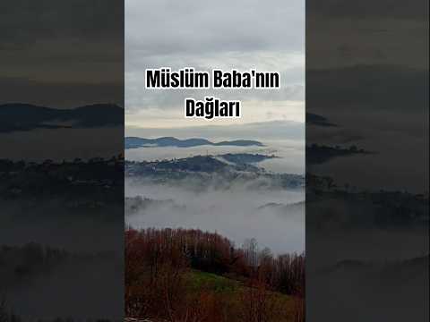 Denizi Yok Eden Sis: Müslüm Babasız Olmaz