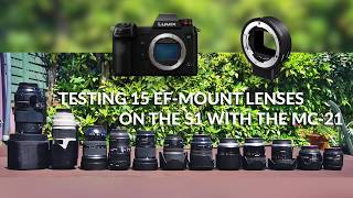 Panasonic S1 with the Sigma MC-21 - autofocus test with 12 of my EF lenses