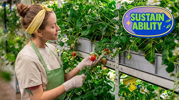 Vertical Farming: A Solution for Urban Areas (2 Minutes)