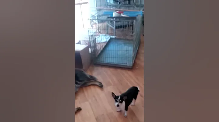 VID_20150323_151...