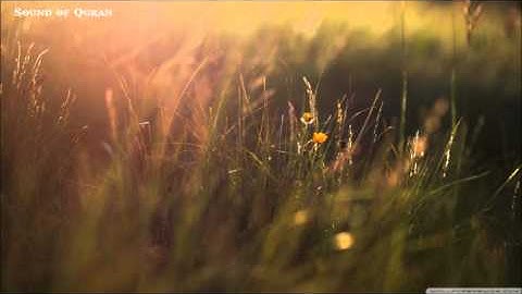 Nasser Alqtami - Sourat AnNisa سورة النساء ناصر القطامي