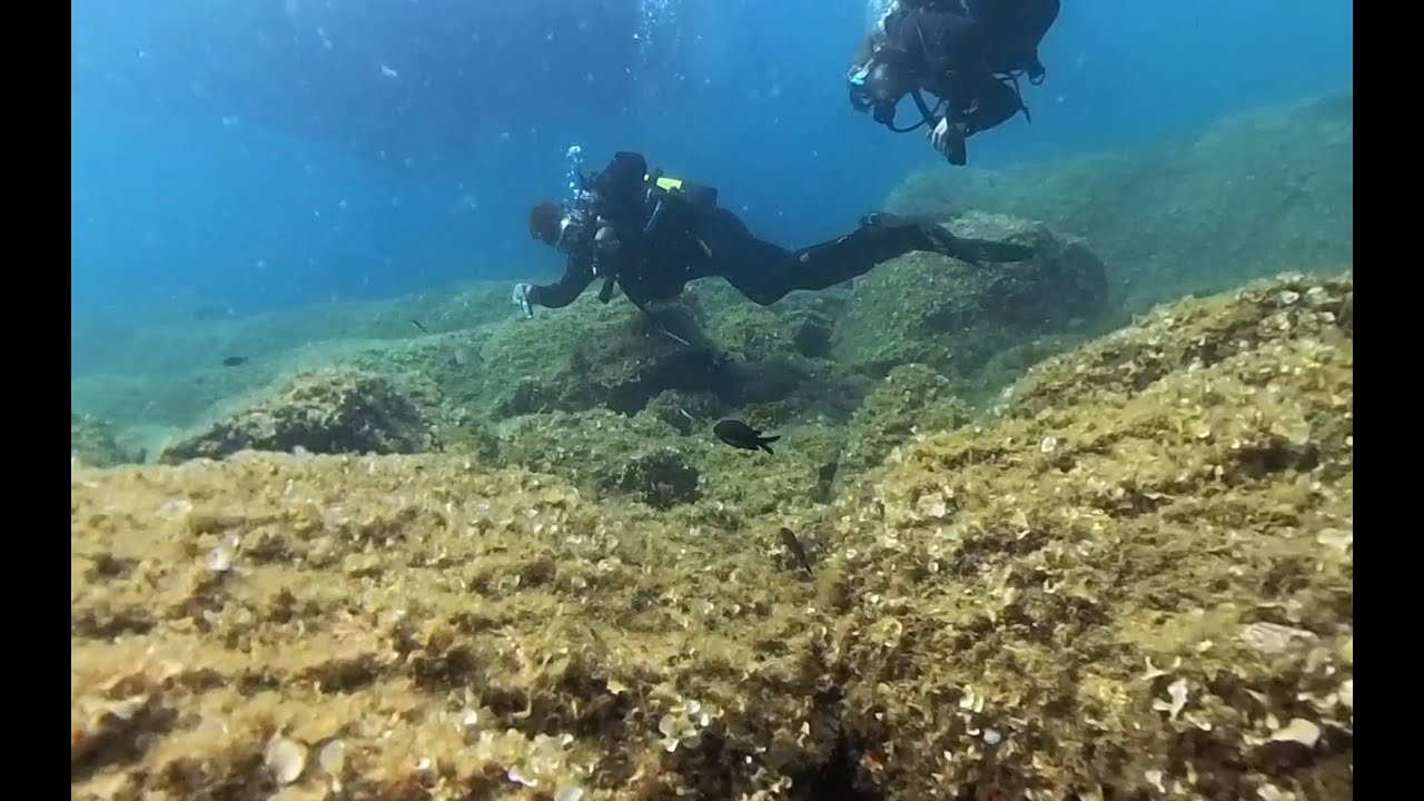 Ayvalik Yuvarlak Ada (Melina Island) Scuba Diving Part 2 ProDivers Dive Club #360video #scubadiving