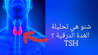 كيفاش نقرا تحليلة منشط الغدة الدرقية TSH (thyroid-stimulating hormone