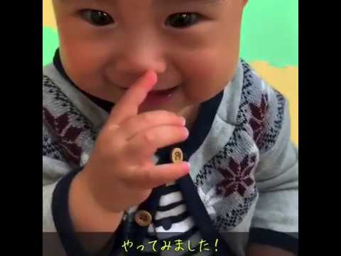 文教おやこ園 Youtube 文教おやこ園 Youtube