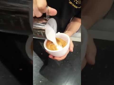     اندونيسيا    لاتيه  