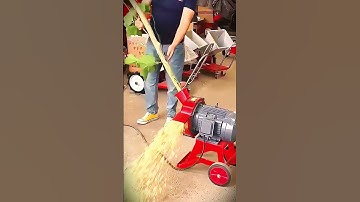 modern innovation reliable tree trunk crusher machine #shorts