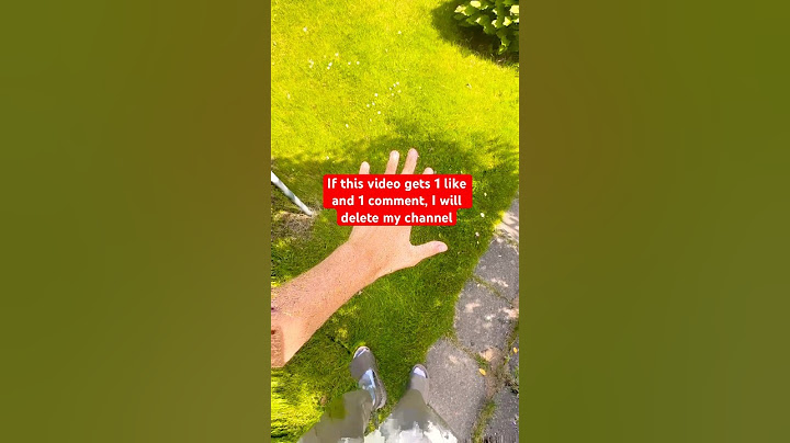 1 like Globglogabgalab