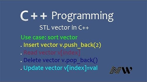 STL vector in C++ code and example in Urdu/Hindi