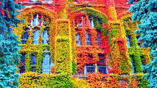 Faculty of Arts and Humanities Live Stream