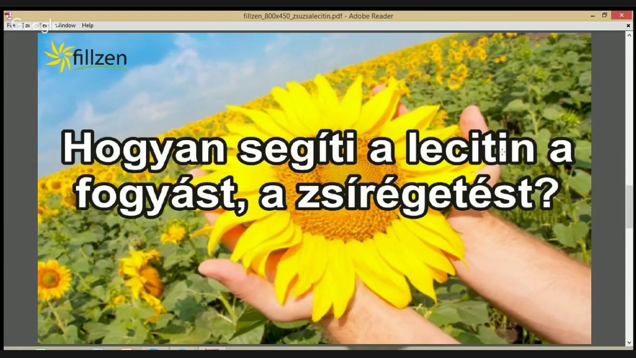 fing zsírégetést)