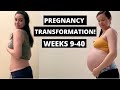 WEEK BY WEEK PREGNANT BELLY PROGRESSION | Weeks 9-40