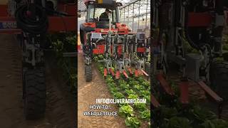 Optyma 2.0 Ai Based Salad Weeder || Made By Oliver Agro Srl Italy || #Shorts