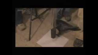 (Part 3) BBC Springwatch Unsprung 2011 - Episode 3