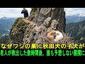 なぜワシの巣に秋田犬の子犬が…?老人が救出した数時間後、誰も予想しない展開に