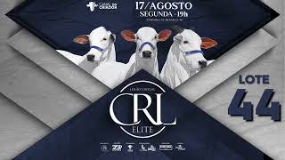 LOTE 44 NCRL 929