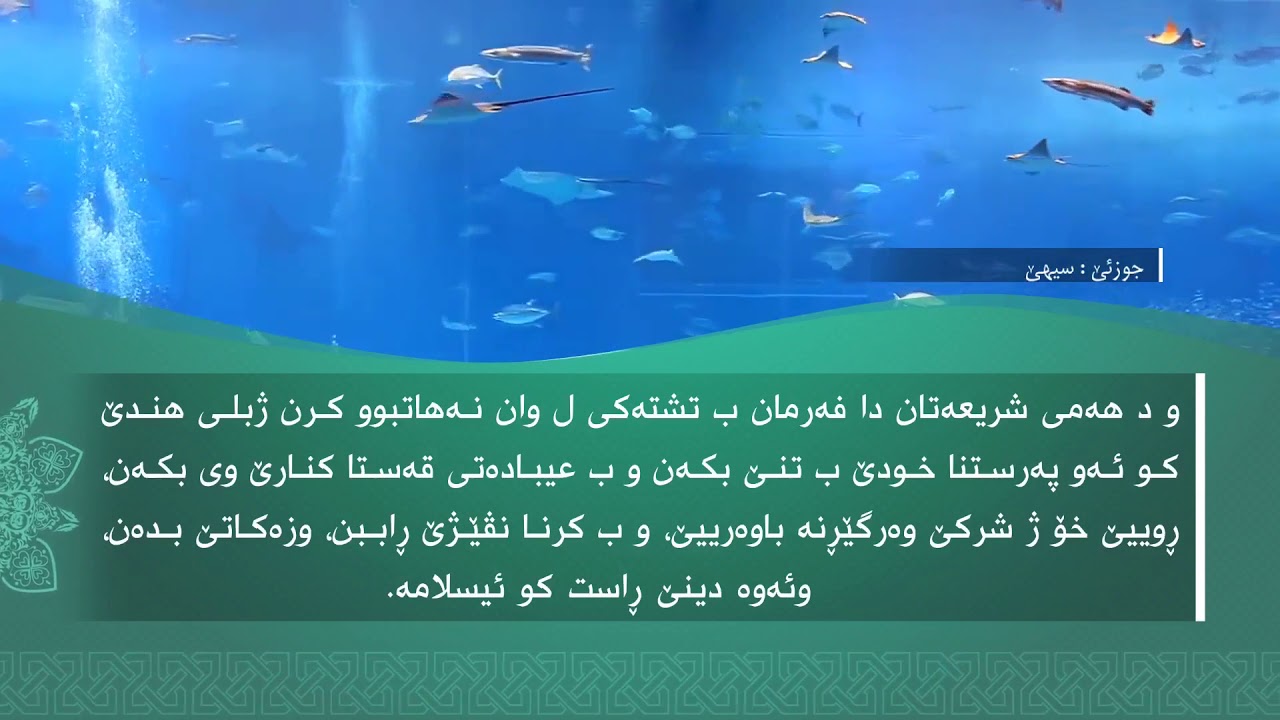 تفسیرا سوورەتا البَينَة1080p