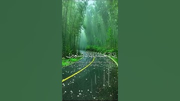 سورة الفاتحه القارئ محمد حسين 🍃