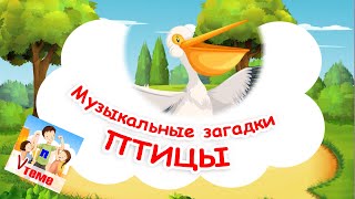 Птицы 1. Музыкальные Загадки Для Малышей. Папа V Теме