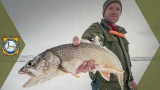 Best Lake Trout Lures