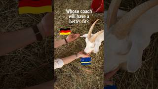 Many expected 🇩🇪 v 🇨🇼 to be a one-sided affair, but that didn’t stop goats from predicting it.