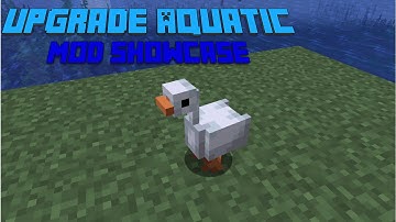 More Ocean Features! | Upgrade Aquatic Mod Showcase